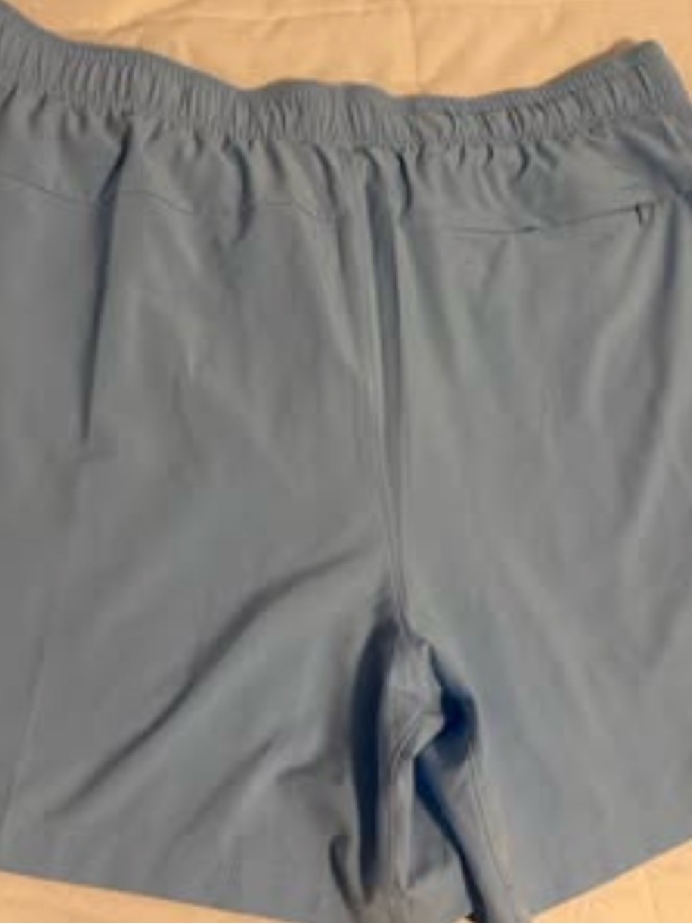 Light Blue Casual Swim/Active Shorts with Novelty Dog Graphic - Picture 2 of 5